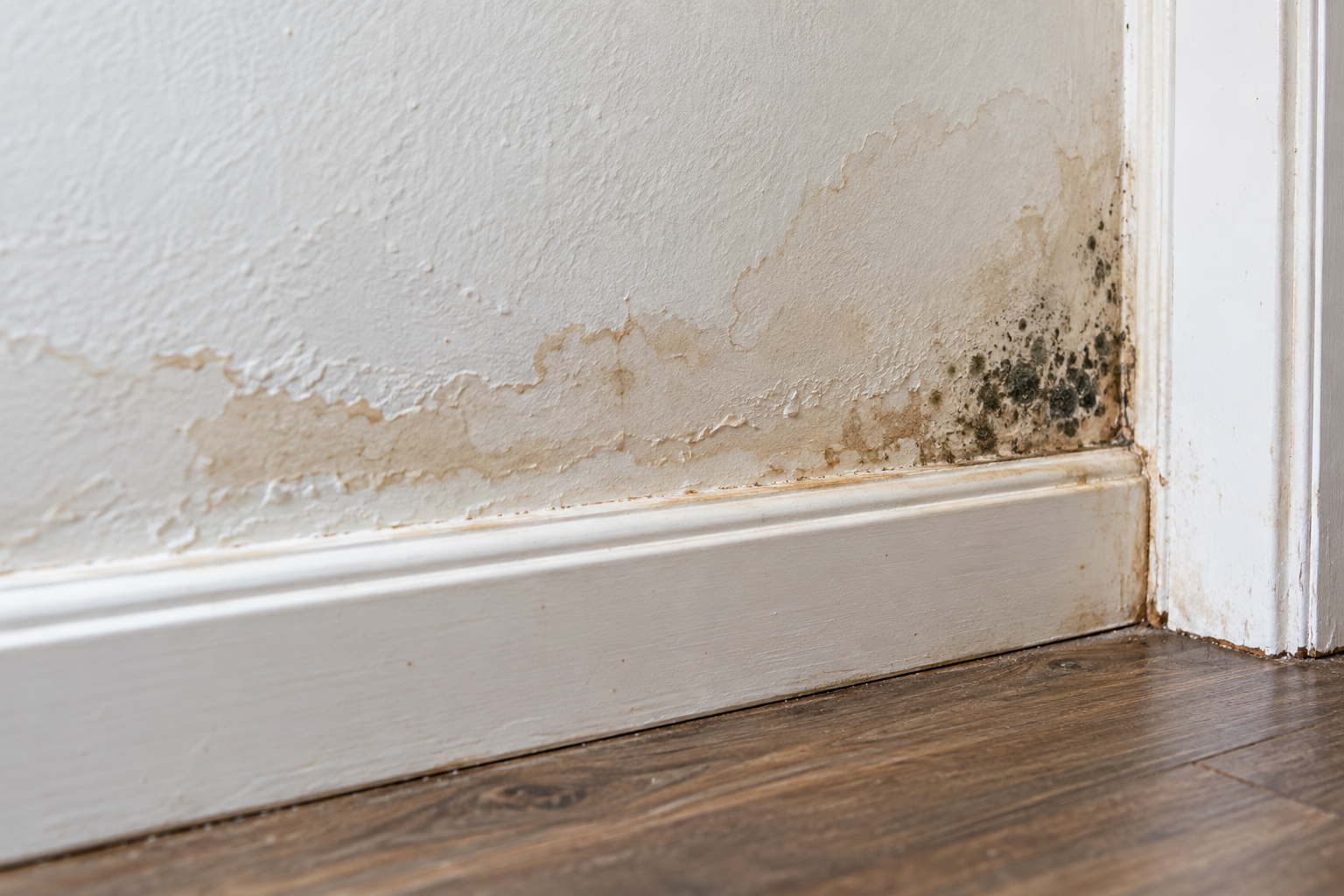 Illustration of moisture damage near an interior wall base